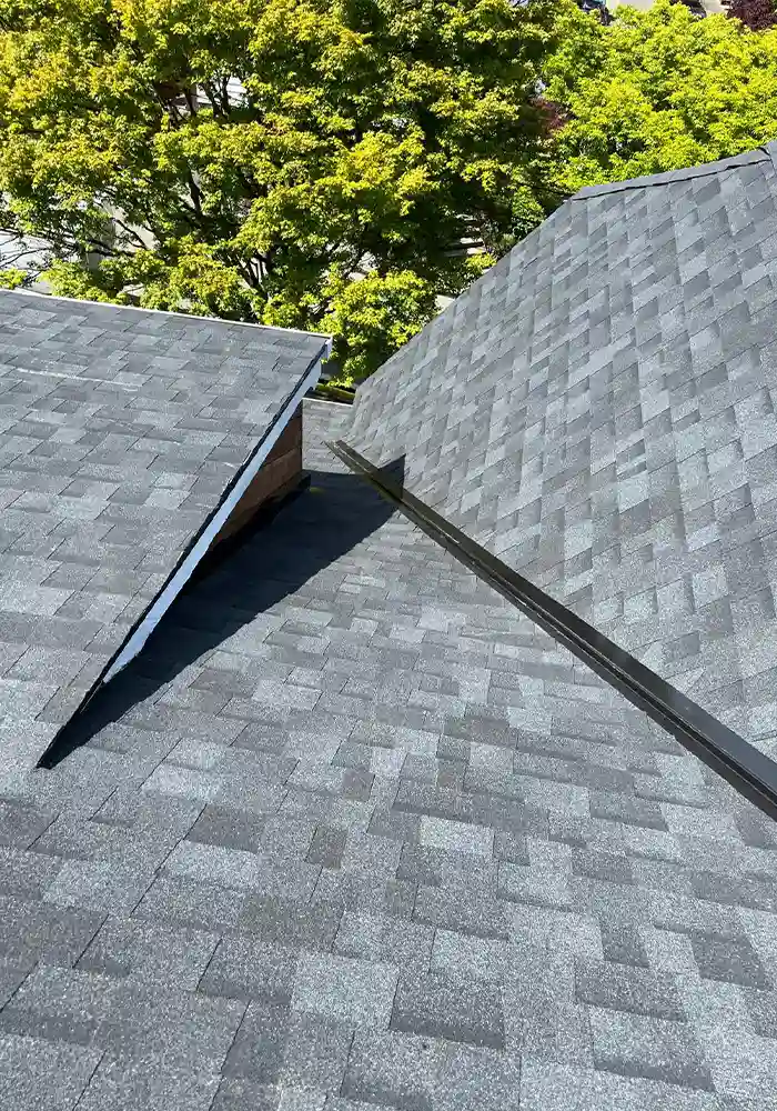 roof-lp-portoflio-01