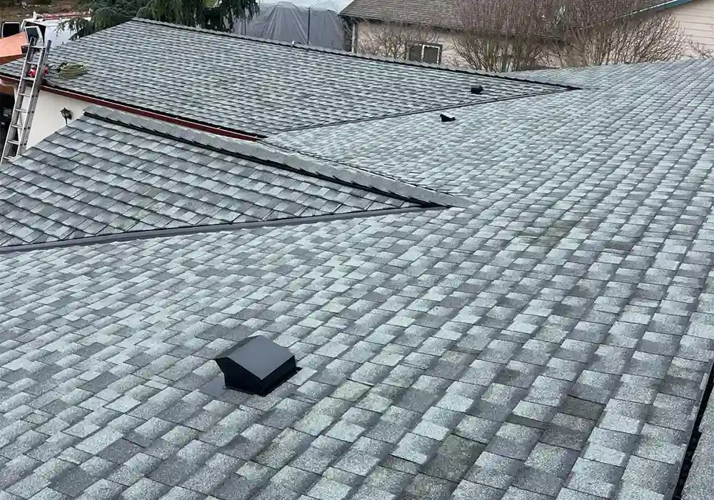 roof-lp-portoflio-02