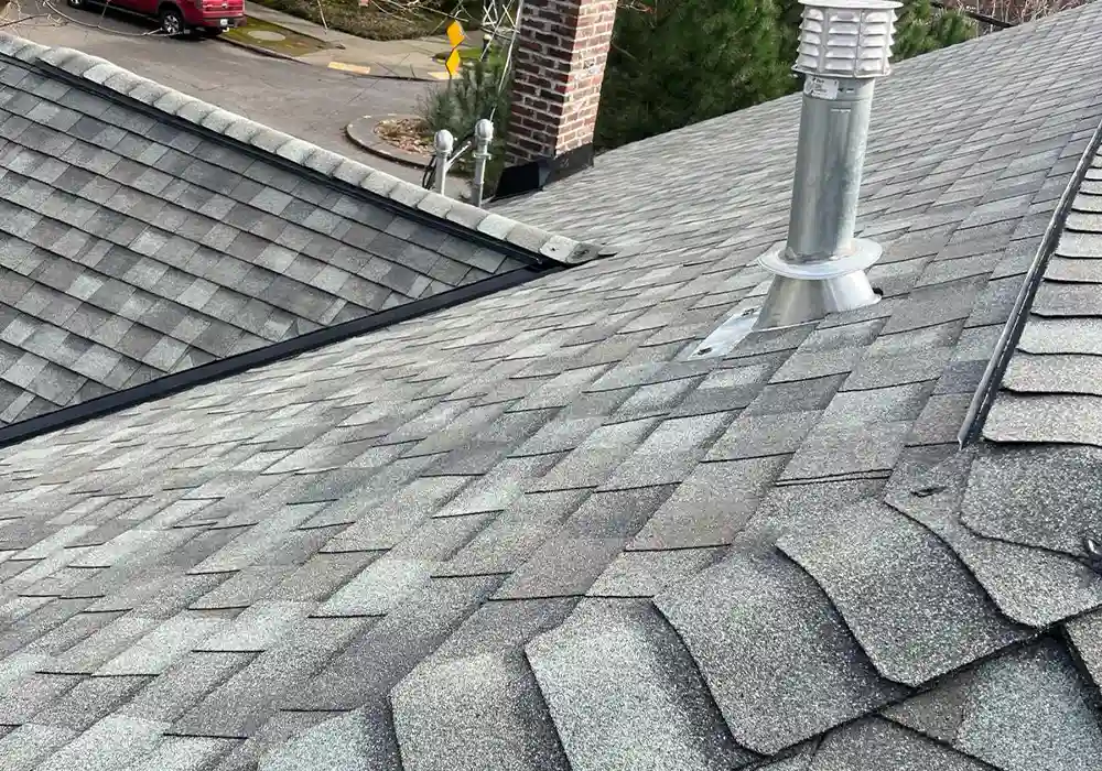 roof-lp-portoflio-03